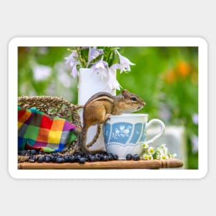 Tea time with a chipmunk Sticker